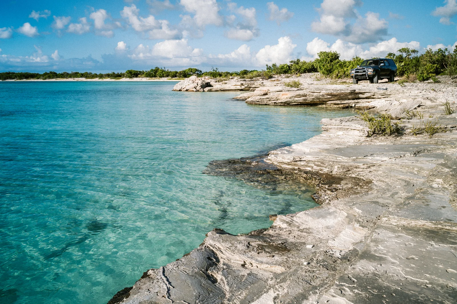 TCI_MCF_09820.jpg