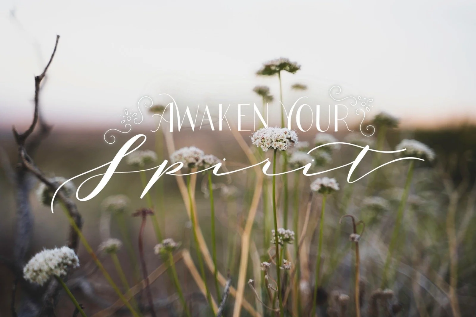 Awaken Your Spirit (Lilly Lettering).jpeg
