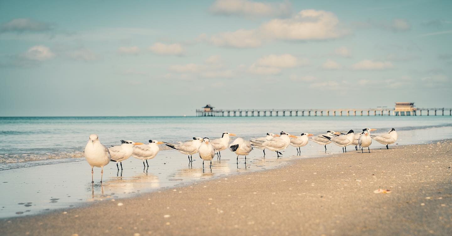 Sending and abundance of love and prayers to all those affected by #hurricaneian2022 💔
.
Naples, Florida is my hometown.💔🙏🌴
This is utter devastation to the coastal areas of Southwest Florida. 
.
I&rsquo;m grateful to have intentionally captured 