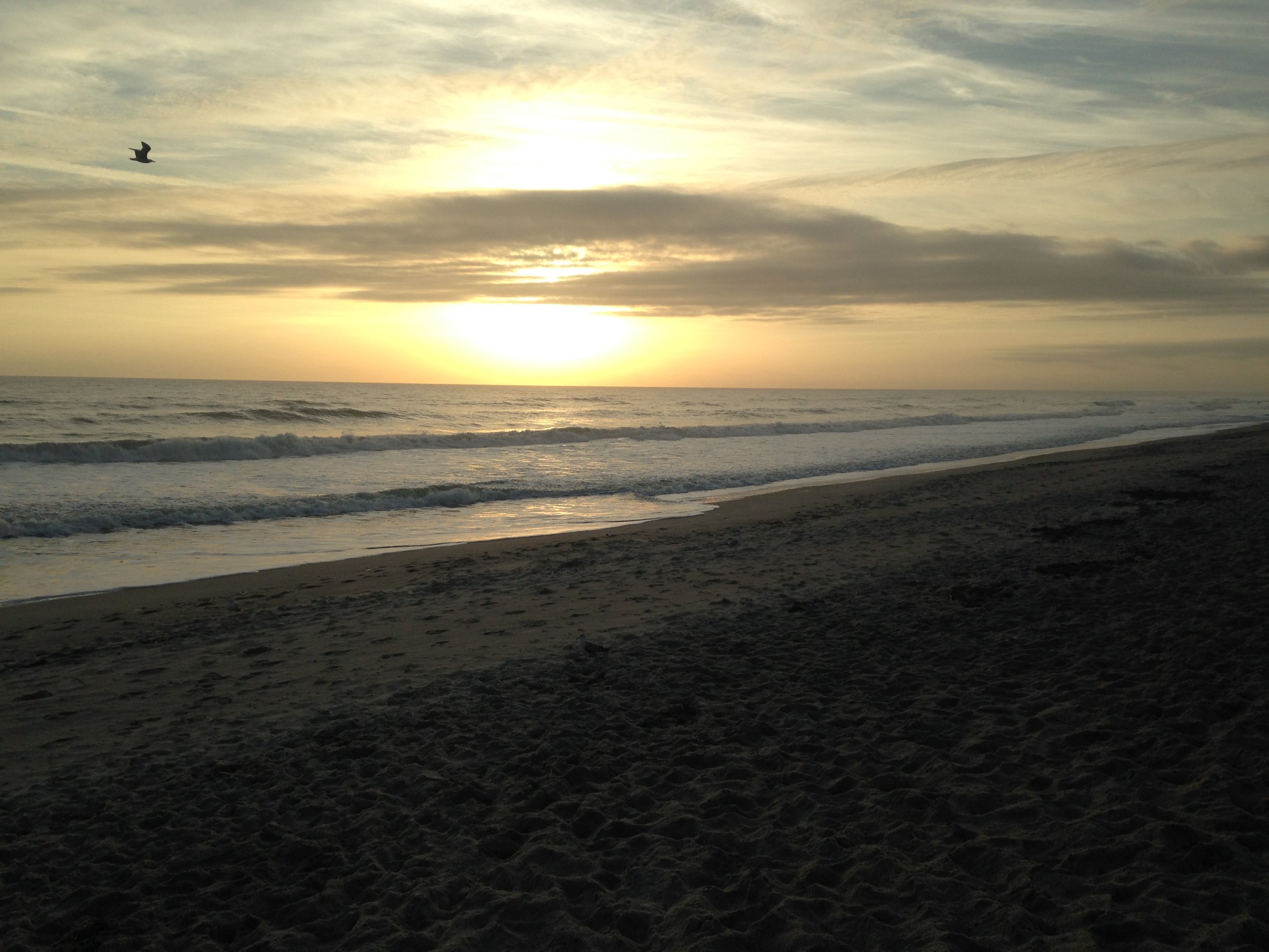 2015-01-06 07.45.16.jpg