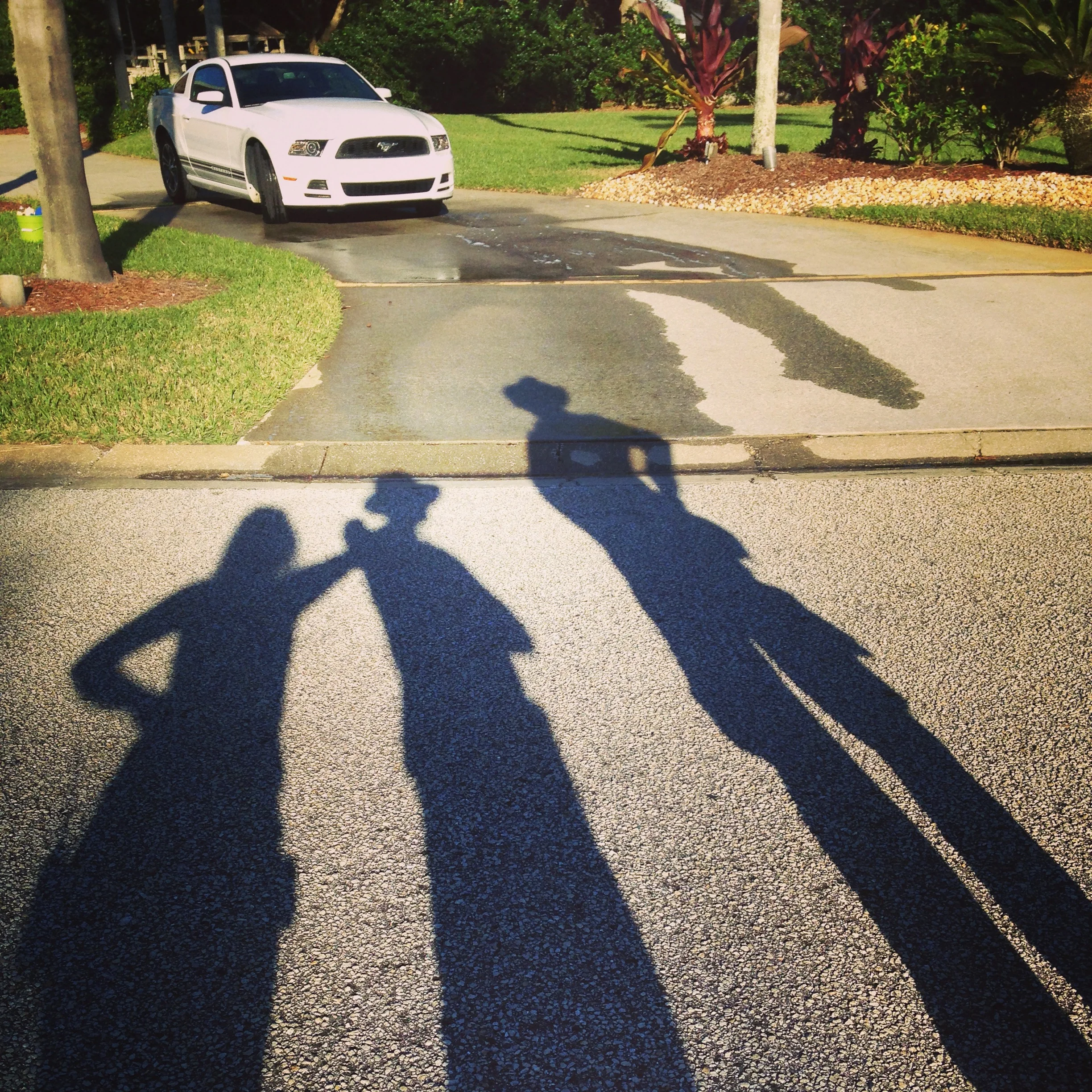 2015-01-21 16.16.41-2.jpg