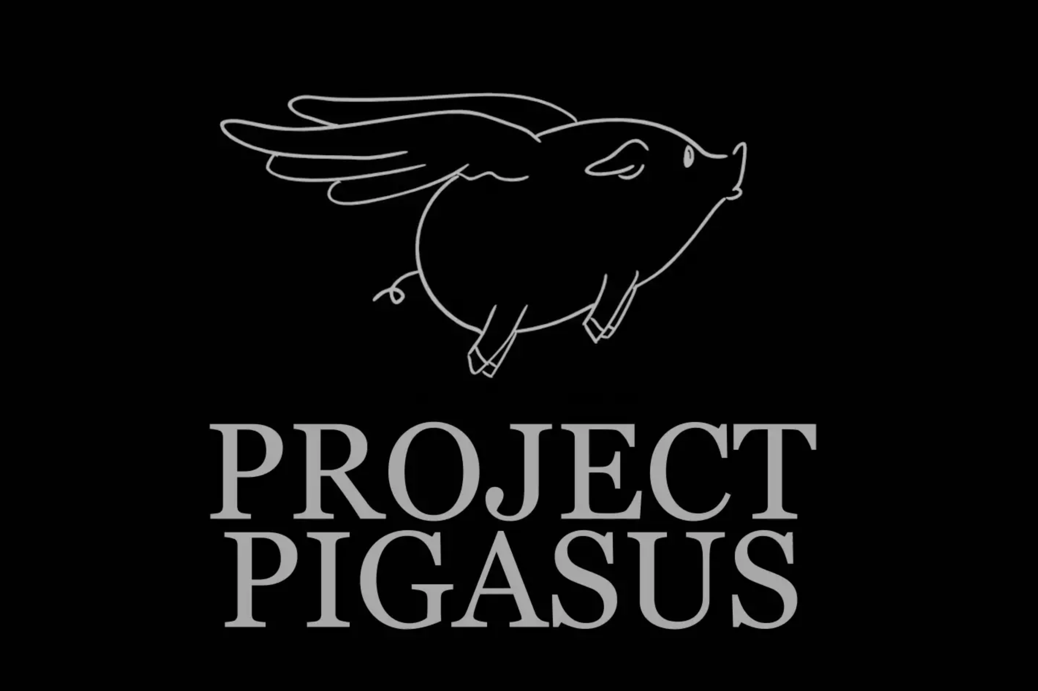 Screen Shot 2019-06-27 at 1.31.51 PM.png