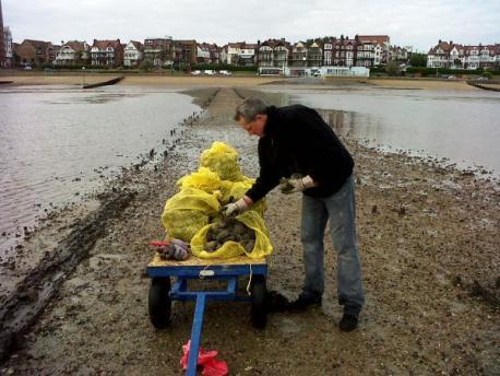 Seized - Carl Robinson, a Southend Council officer, with an illegal oyster haul. From Southend Standard
