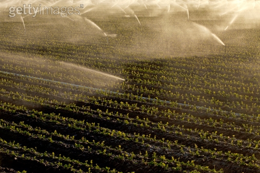 Photo by DNY59/iStock / Getty Images