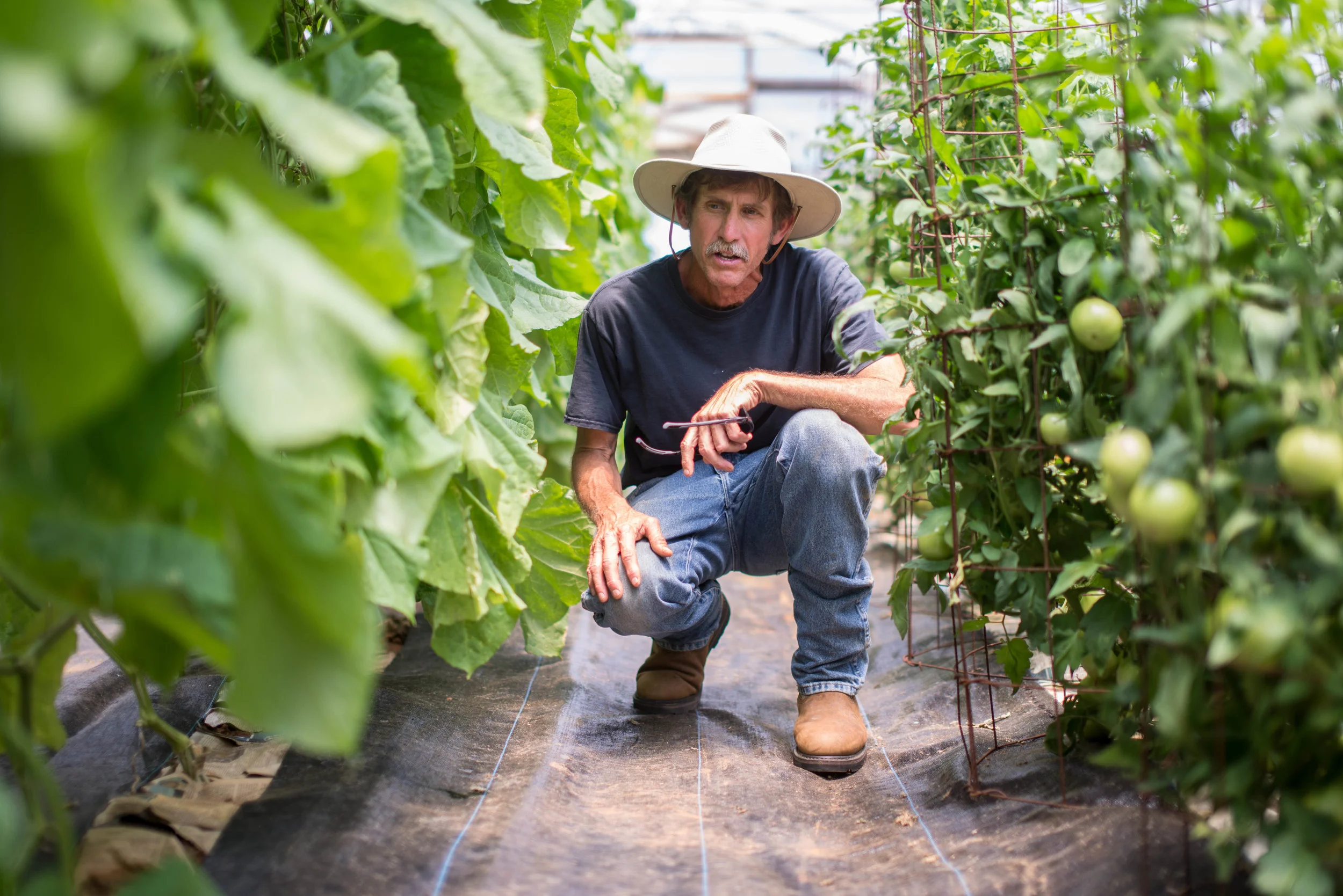 John Cooper, Harvest Moon Farm