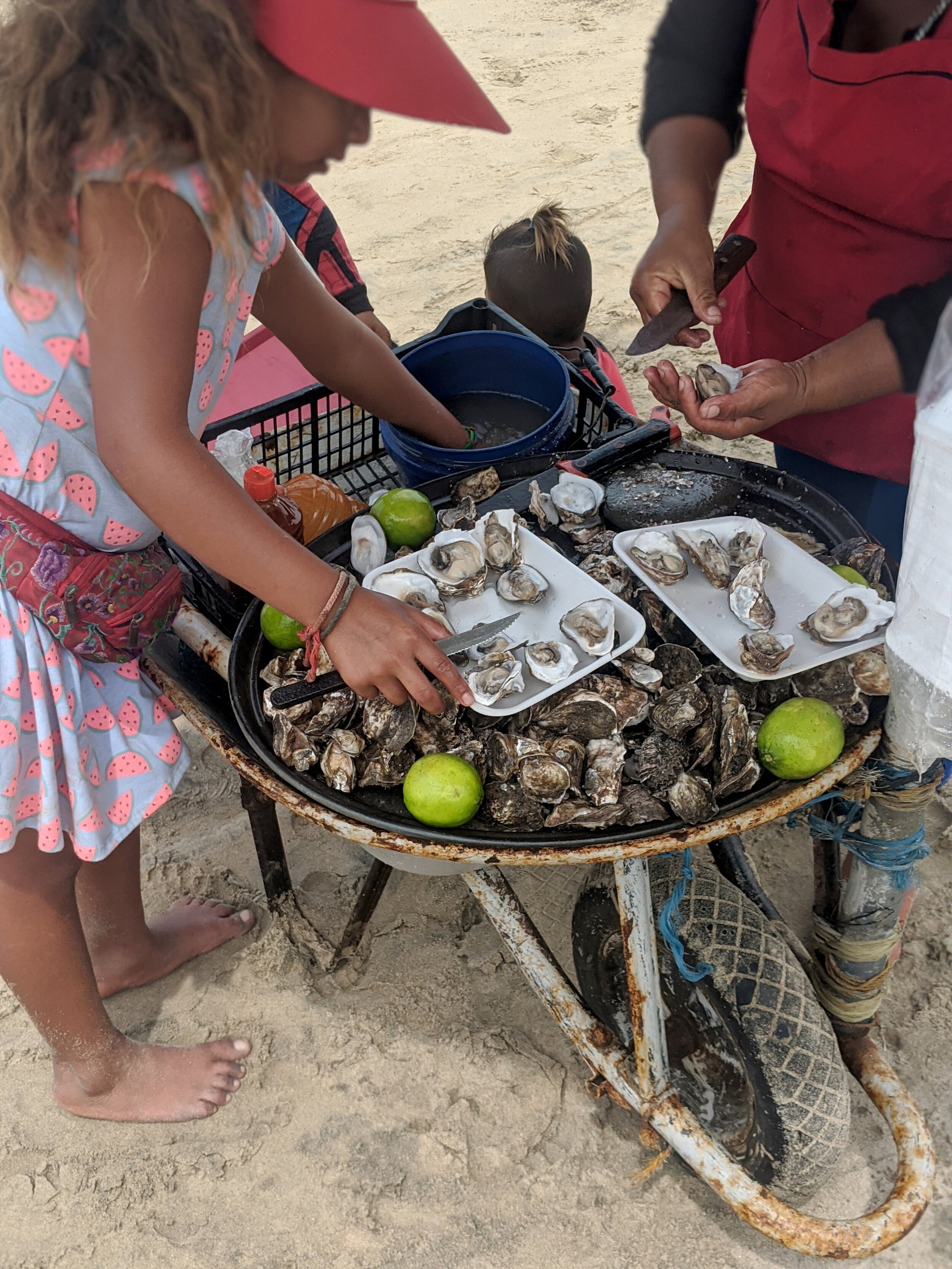 Fresh shucked oysters