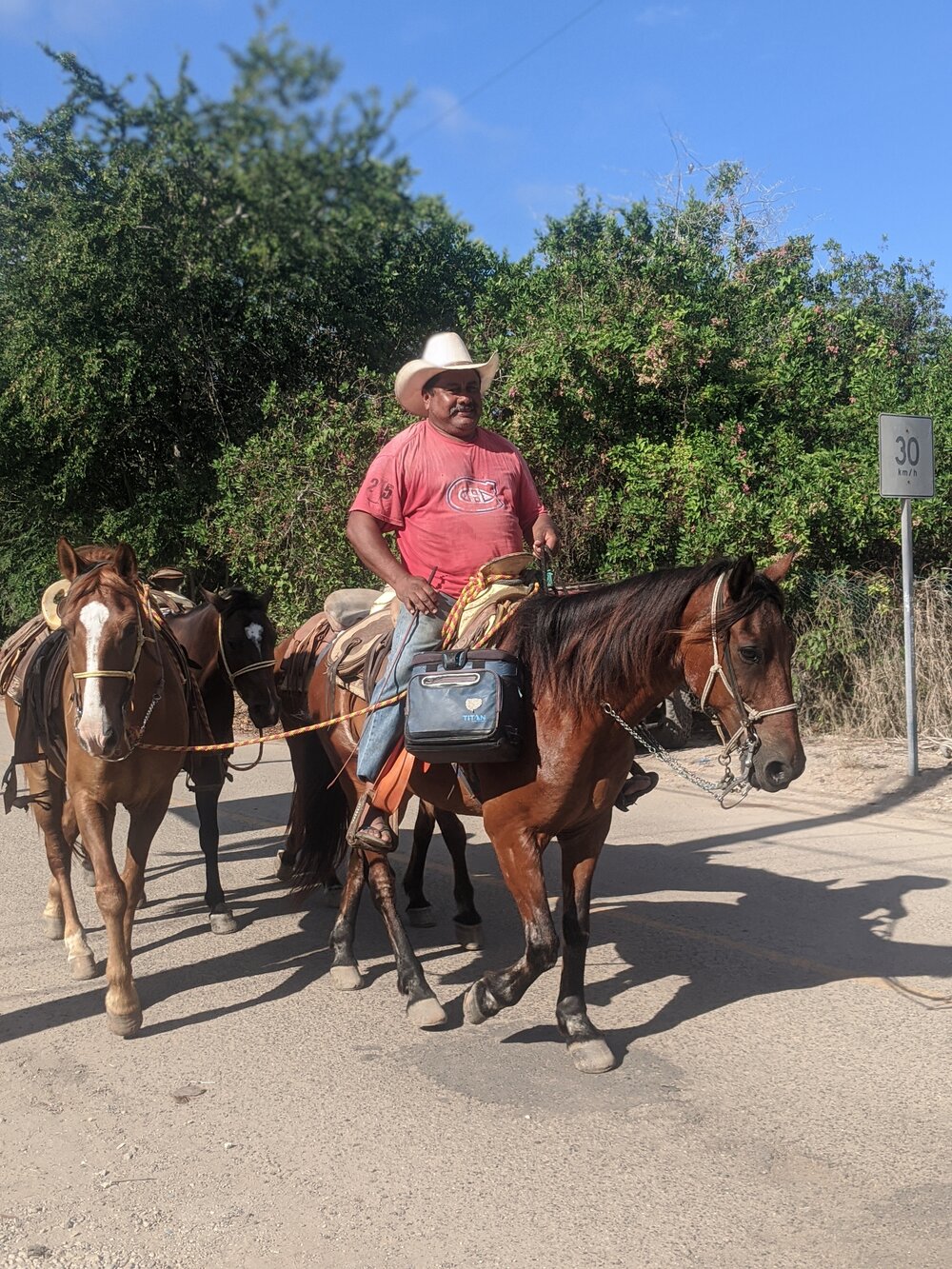 Horseback Riding | Lo De Marcos