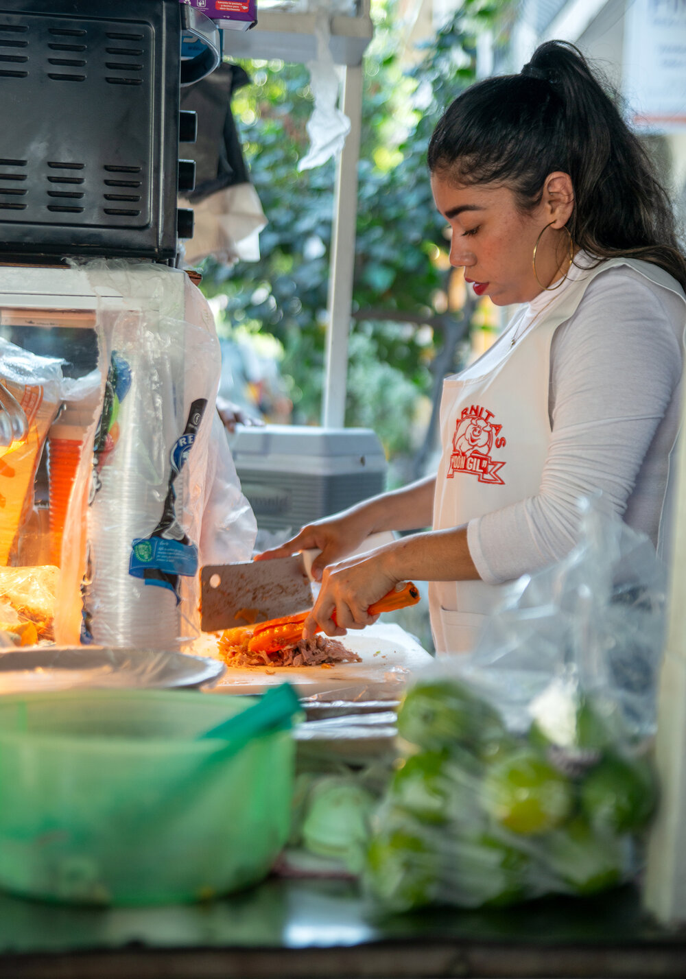 Carnitas Taco Stand