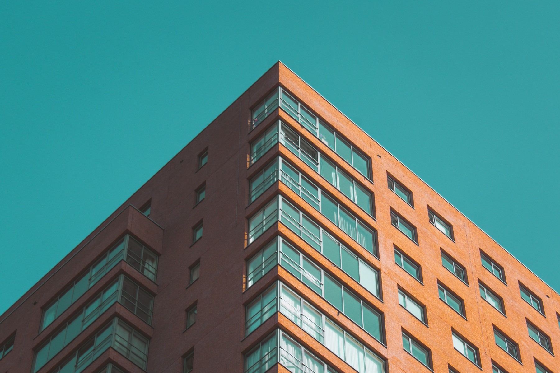 Photo courtesy, Echo Grid via Unsplash