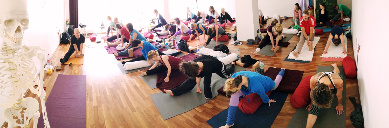 Yin Therapy - Yin Yoga Teacher Training Hamburg.jpg