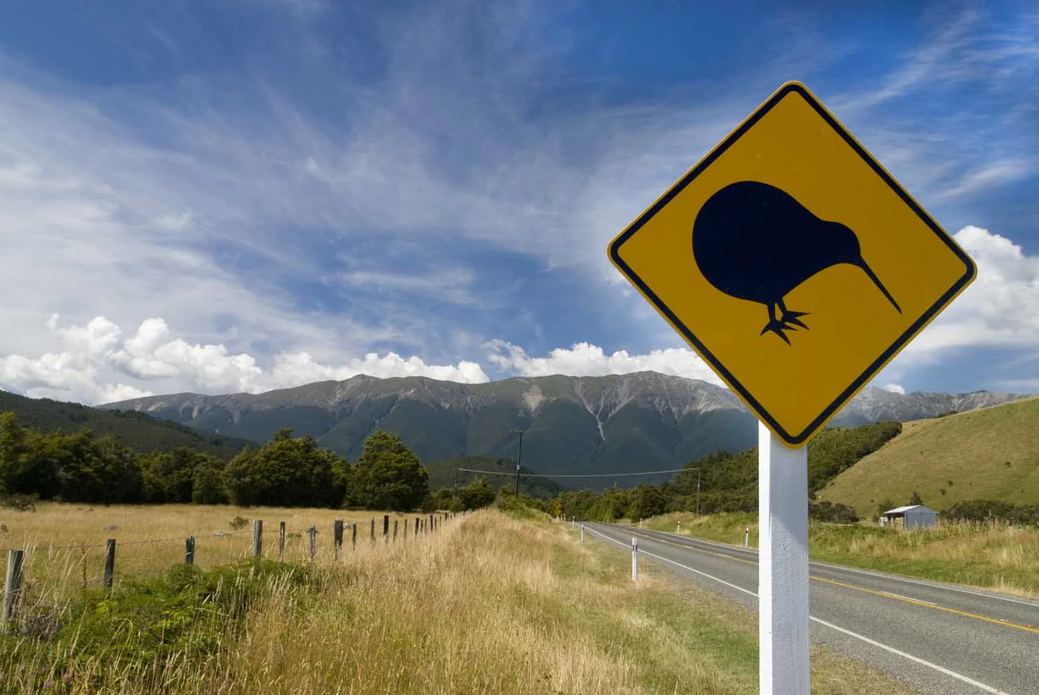 Yin Yoga New Zealand - Kiwi Crossing.jpg