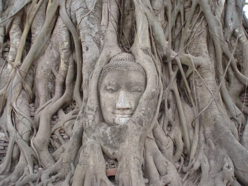 Yin Yoga &amp; Achtsamkeit (Interview von Julia Raderecht mit Markus Henning Giess)