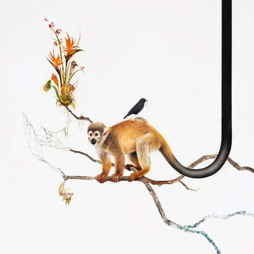 ILLUSTRATION - 13.jpg