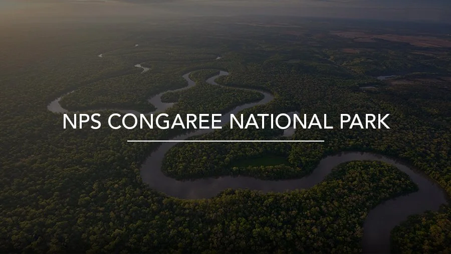 NPS CONGAREE_PAGE_BANNER.jpg