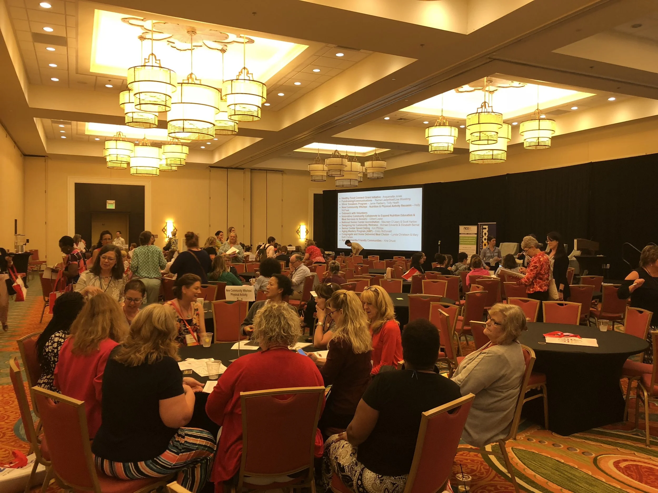 Michael Edwards & Elizabeth Bernat Lead Roundtable at 2018 NANASP/NCOA