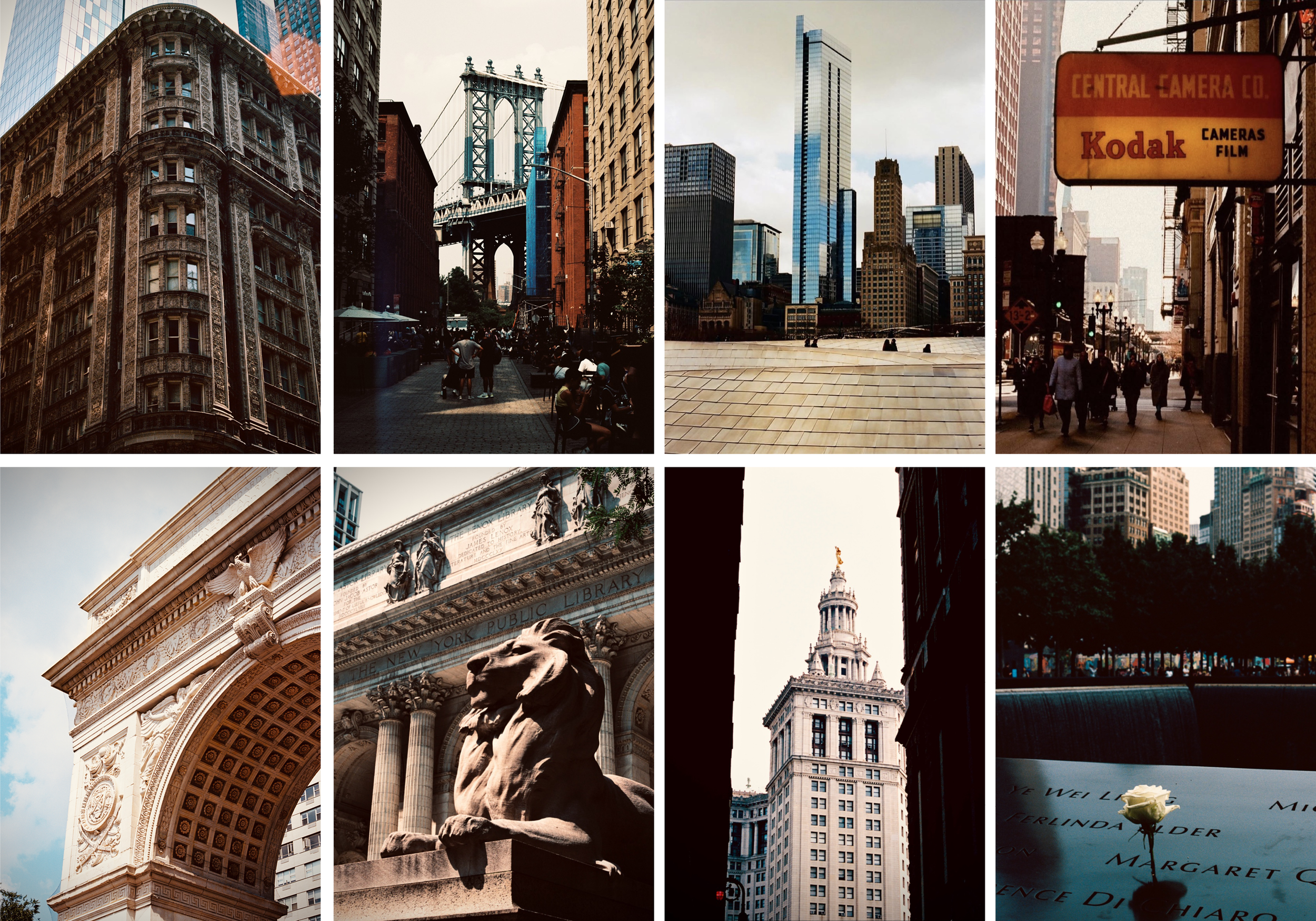 FILM PHOTOGRPAHY.png