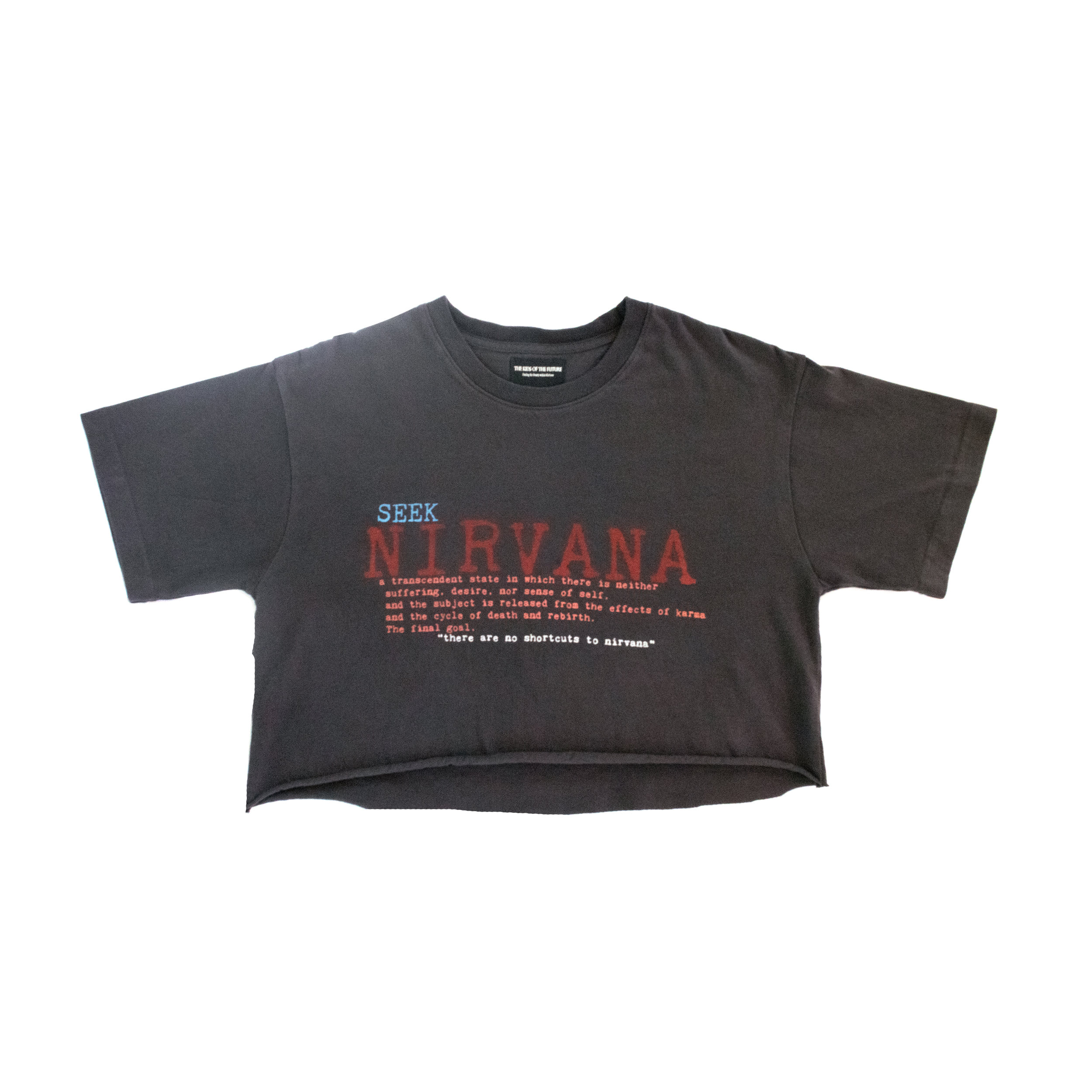 Seek Nirvana T-Shirt — THE OF THE FUTURE