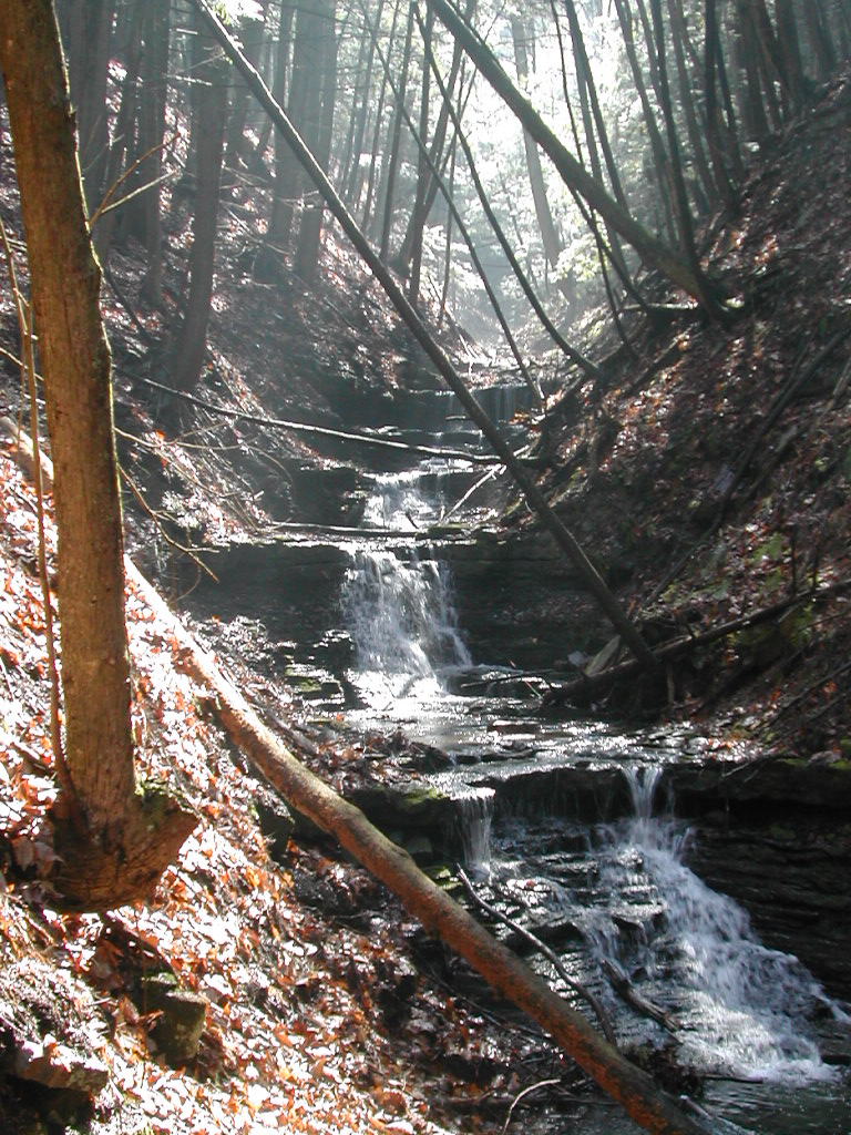 the waterfall area off the trail at Watson.