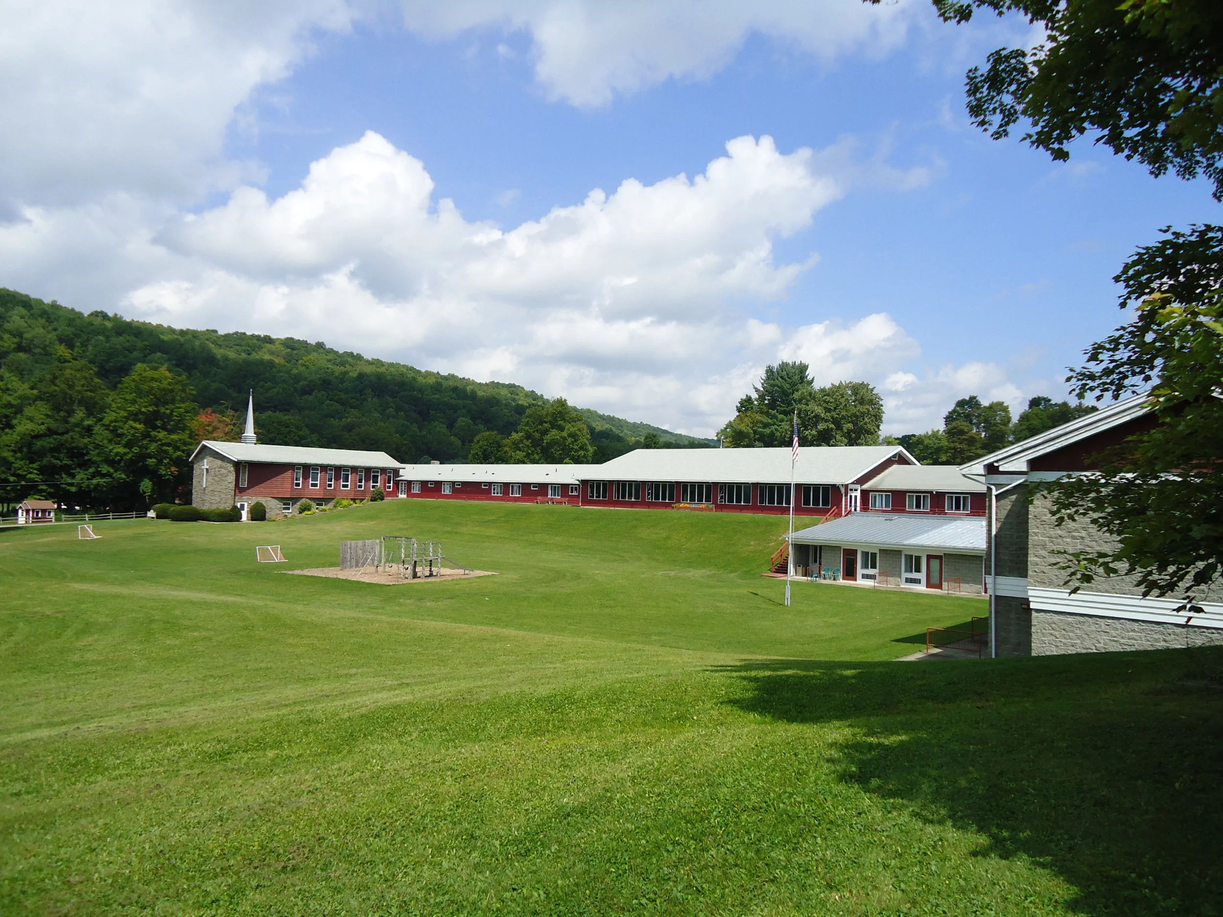 watson view
