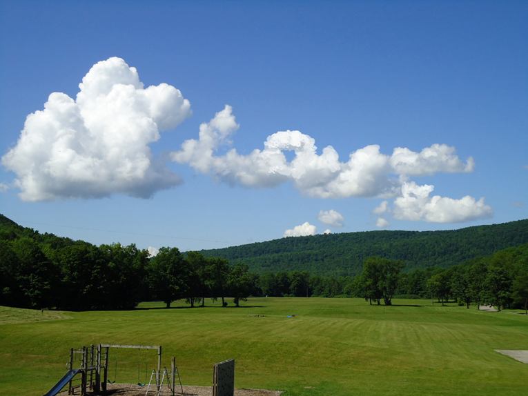 view from watson window.png