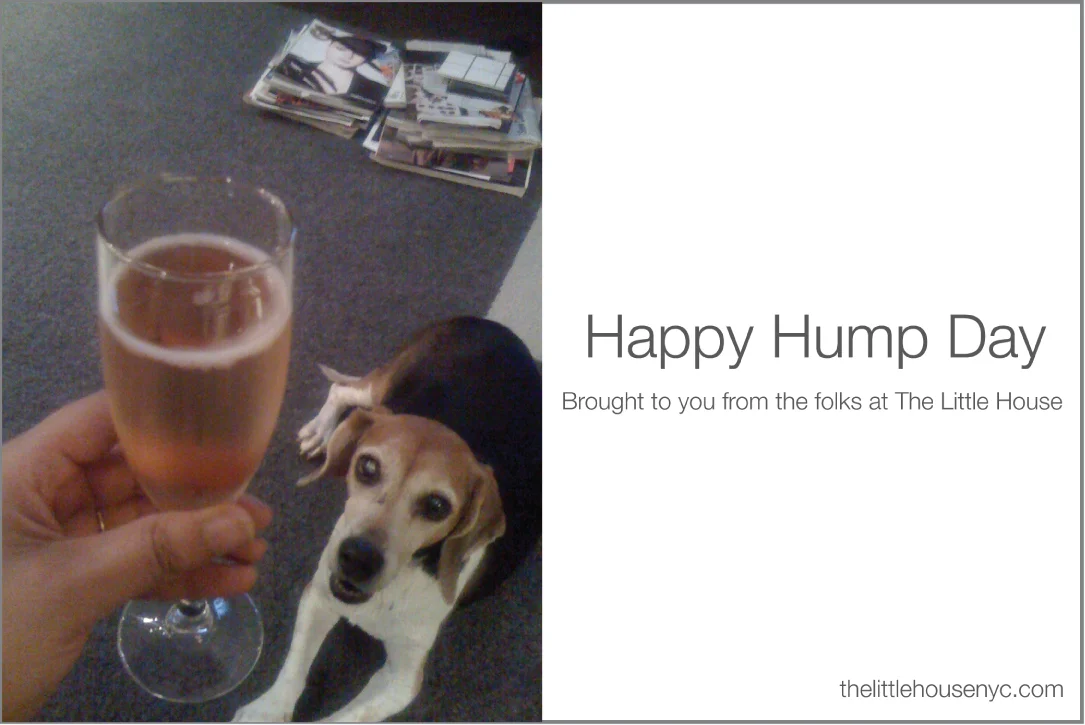 Happy-Hump-Day-Cheers.jpg