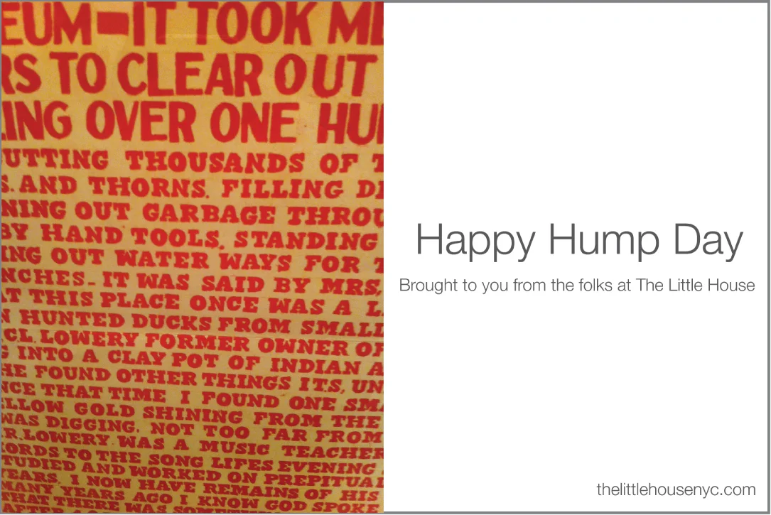 Happy-Hump-Day-Crazy-Words.jpg