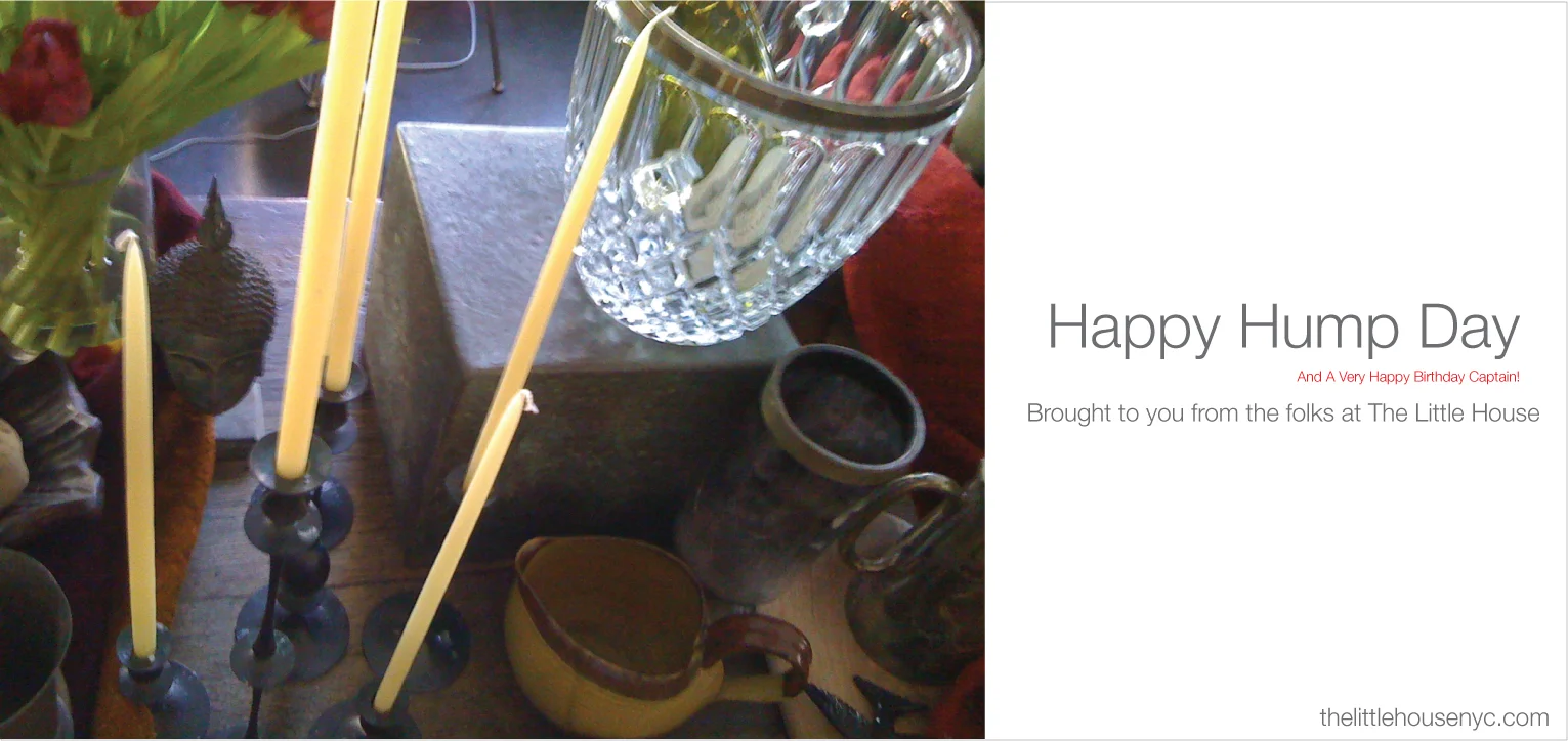 Happy-hump-day-Still-Life-NYC.jpg