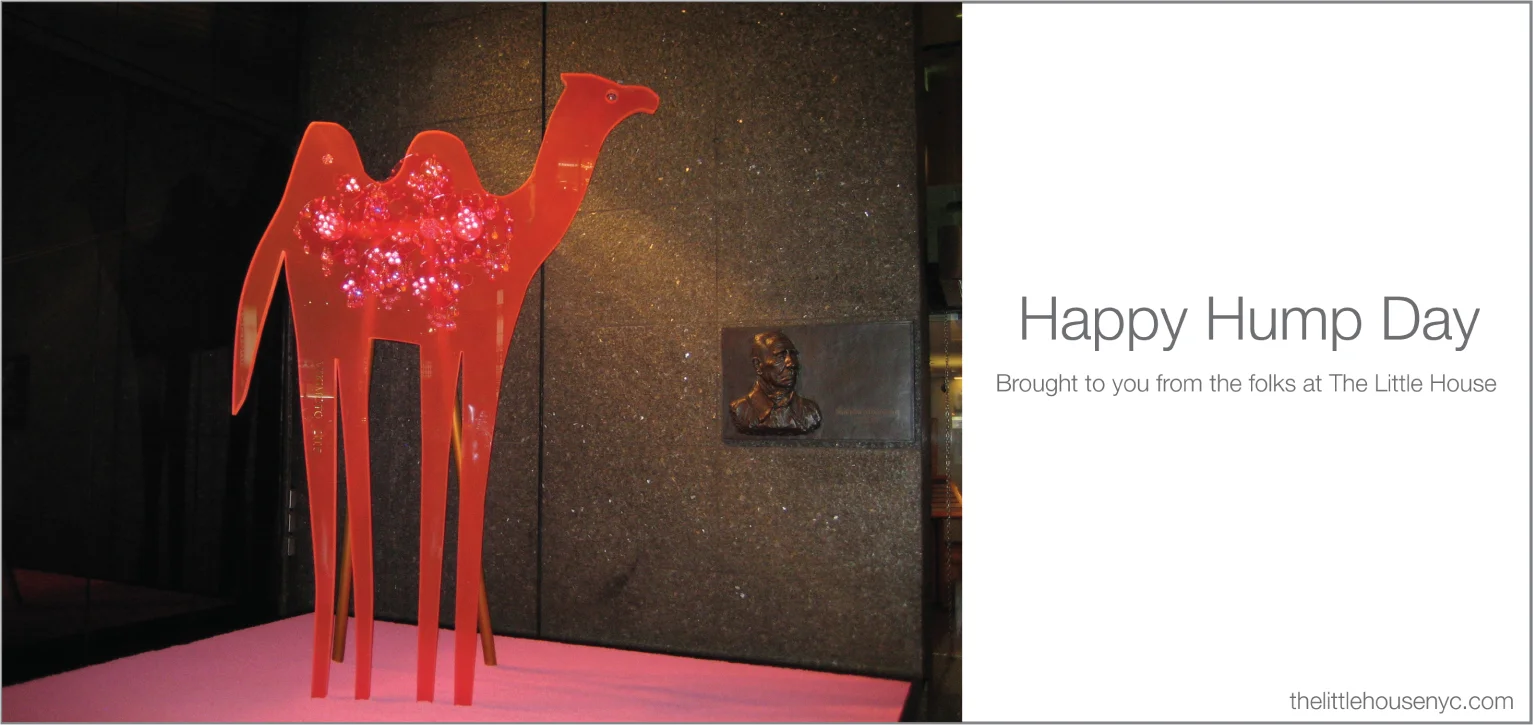 Happy-hump-day-Camel-.jpg