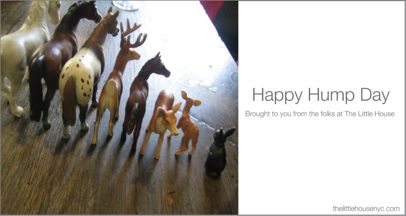 Happy-hump-day-horses.jpg