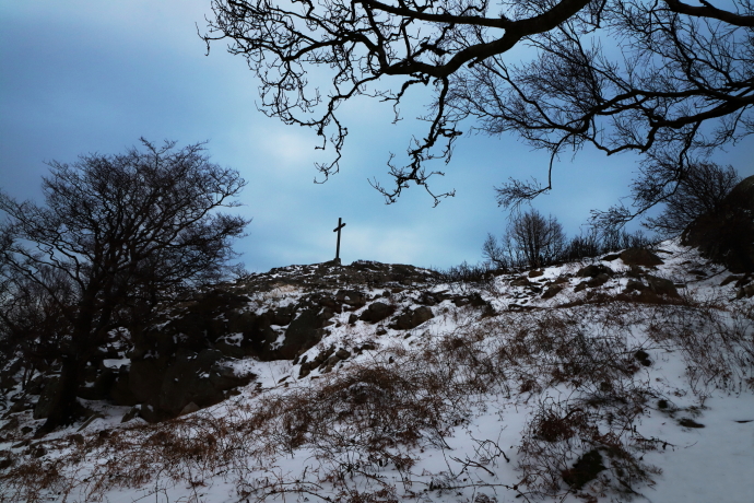 Landscapeweb 960-061.JPG