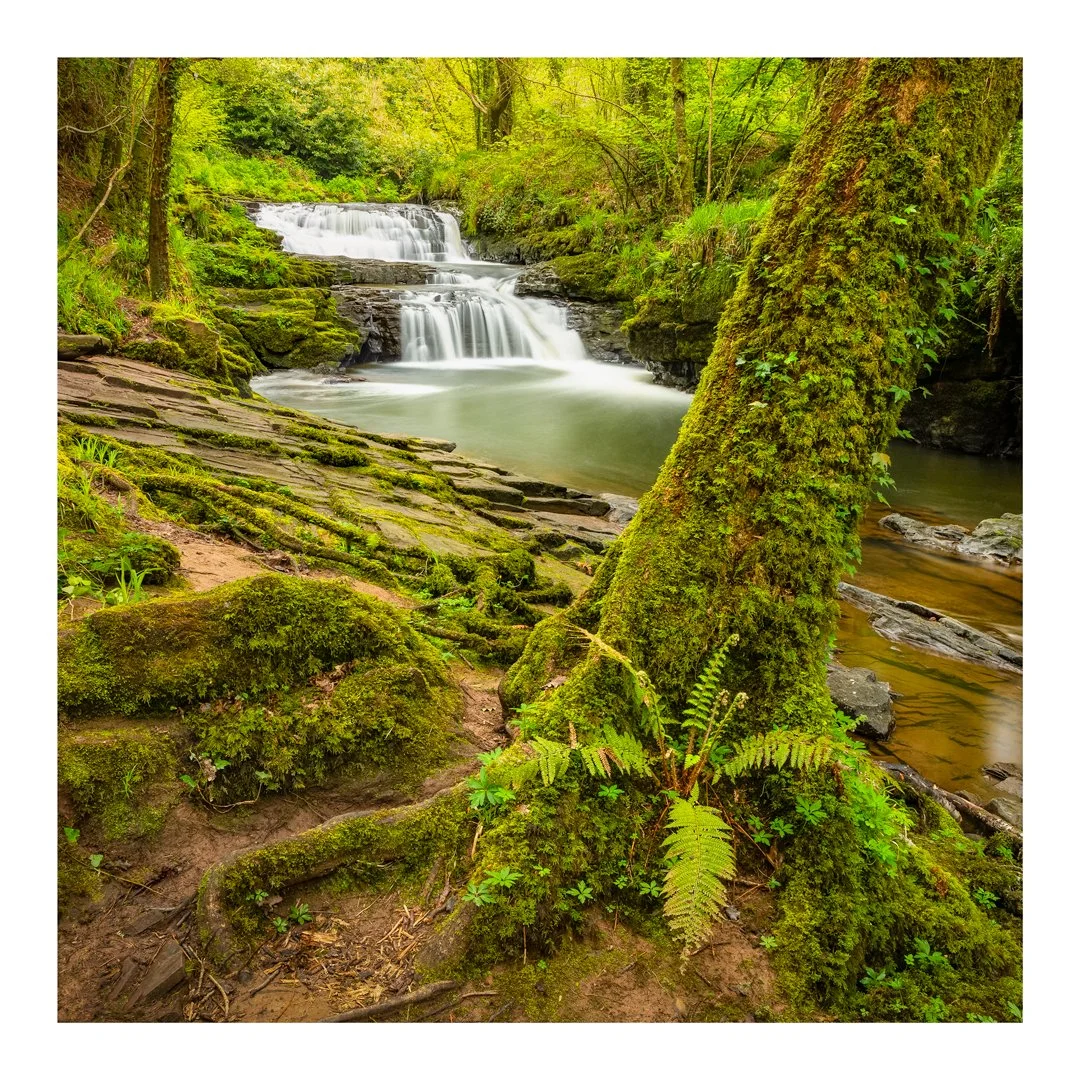 IMG_9756-time-blend-squaretidy-cornerfix-Border-Website.jpg