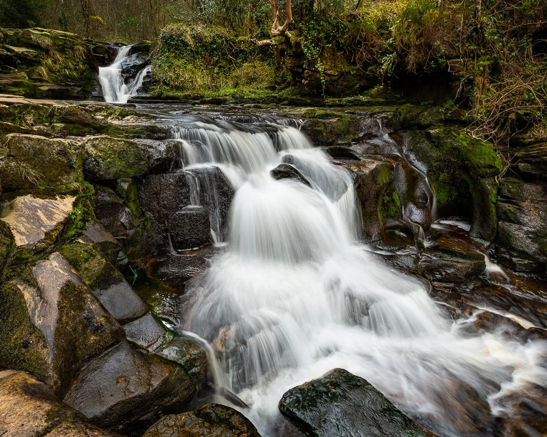 SlieveBloomPortumna webIMG_7042-007.JPG