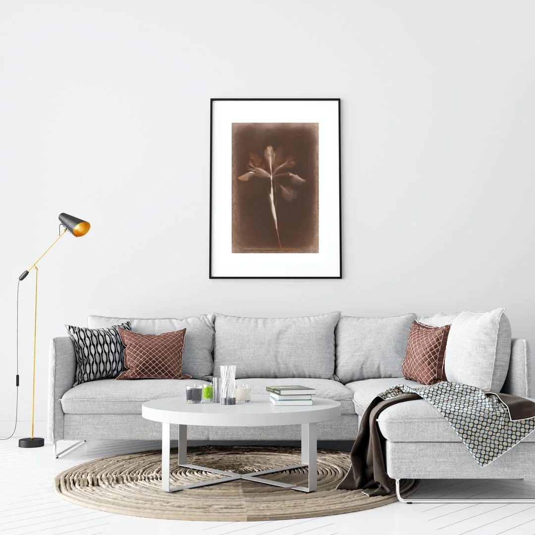New-Stockmockup-24006-iris.jpg