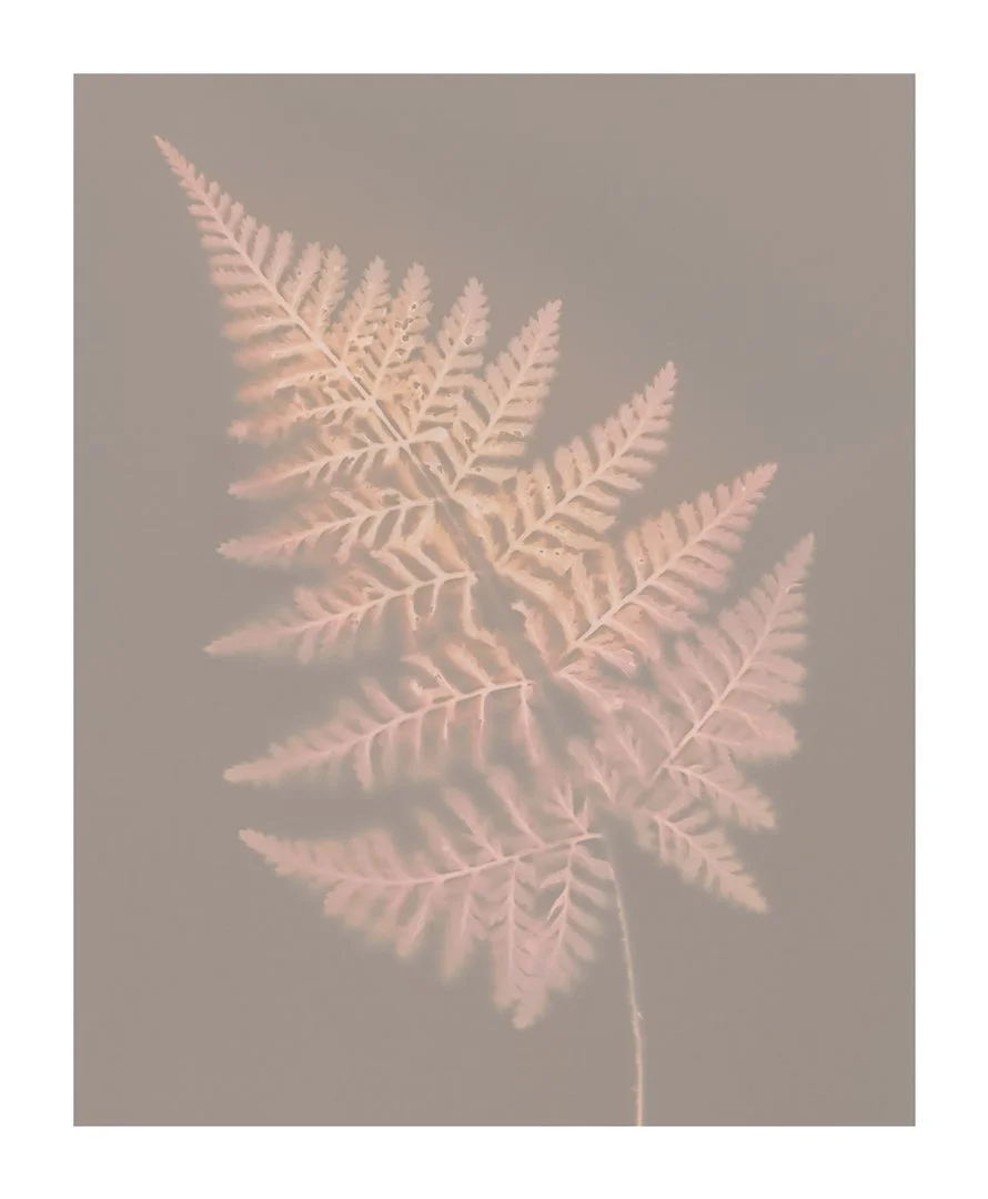 Altpro23-Lumen-unfxd-webAltPro24-Scan-Lumen-FXD080-017wbrdr.jpg