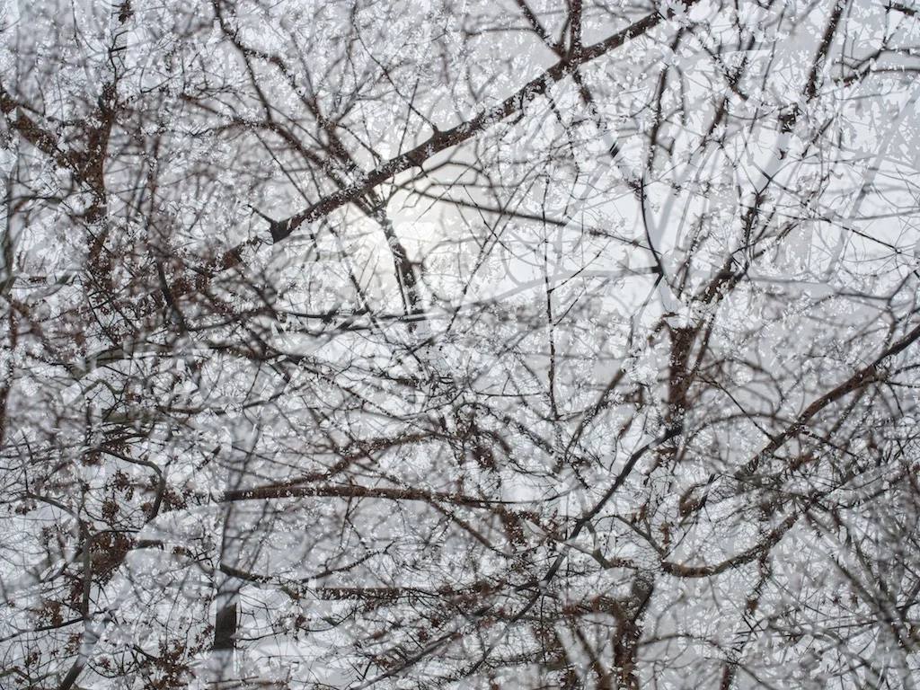 P1010174.jpg