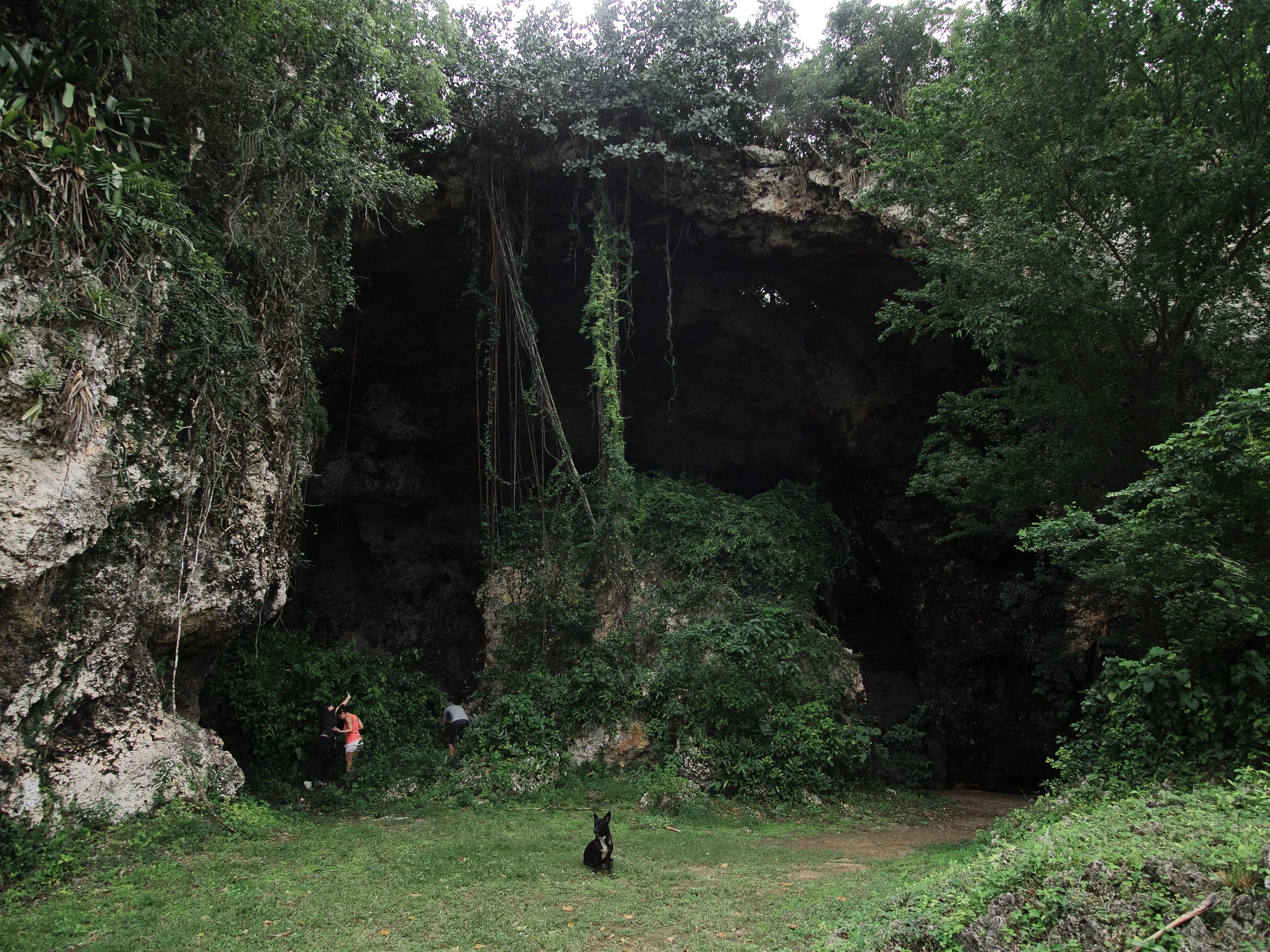 P1070106.jpg