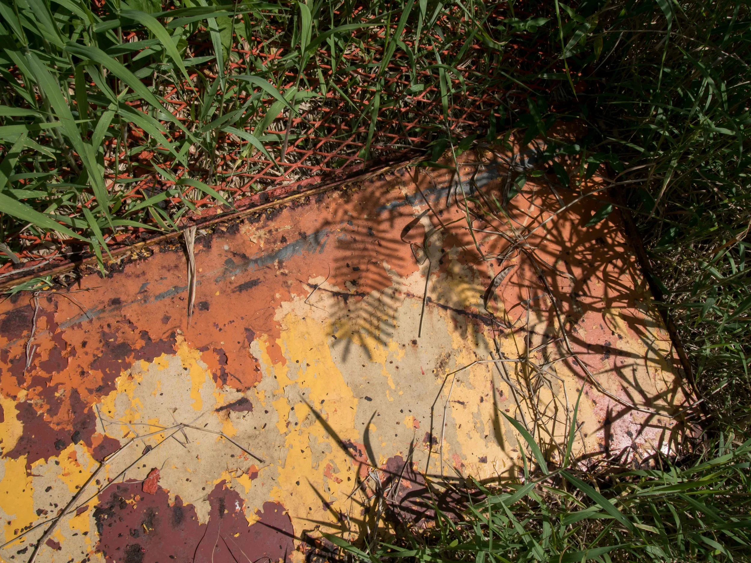 P1000936.jpg