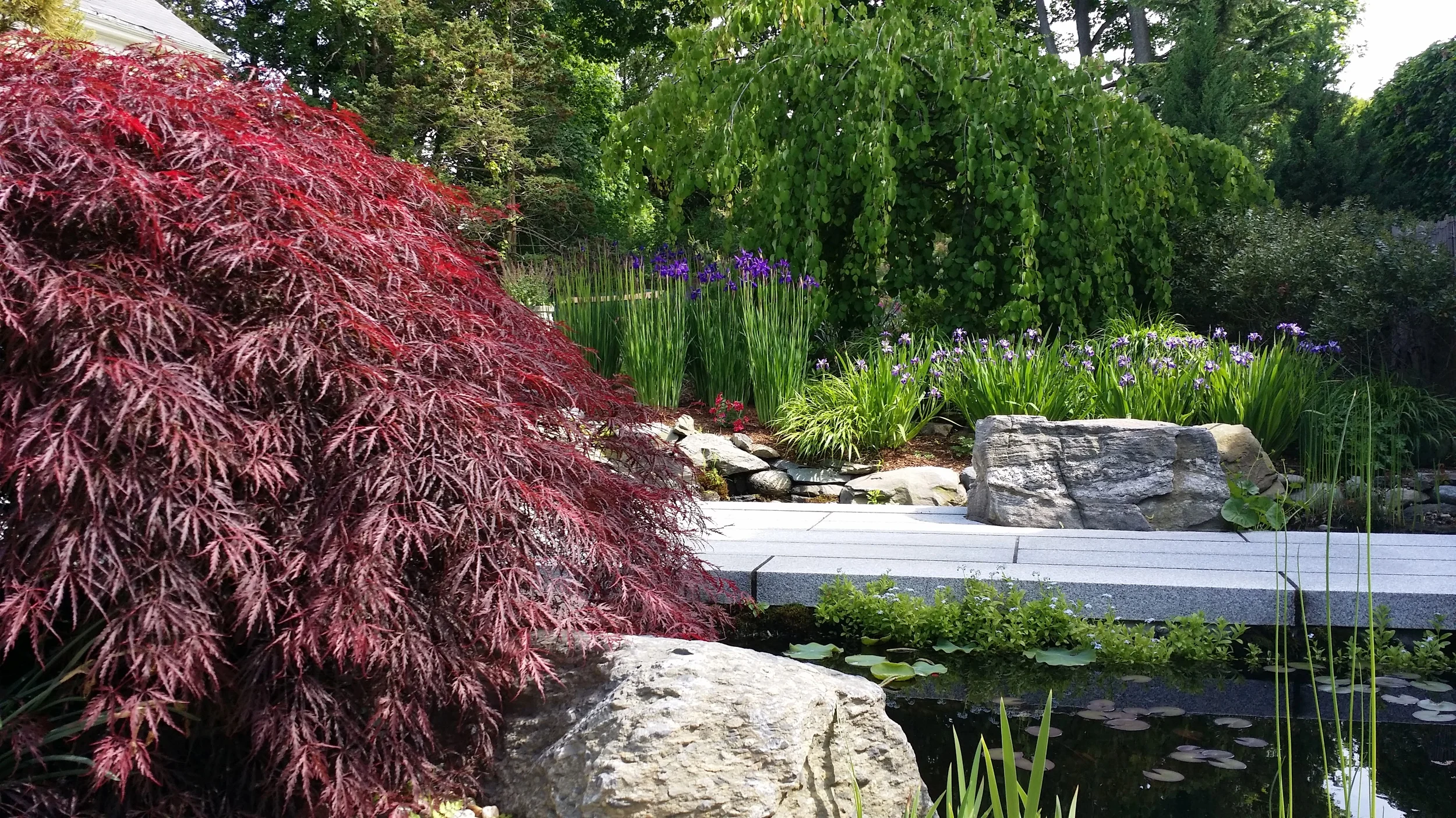 20150604_152004.jpg