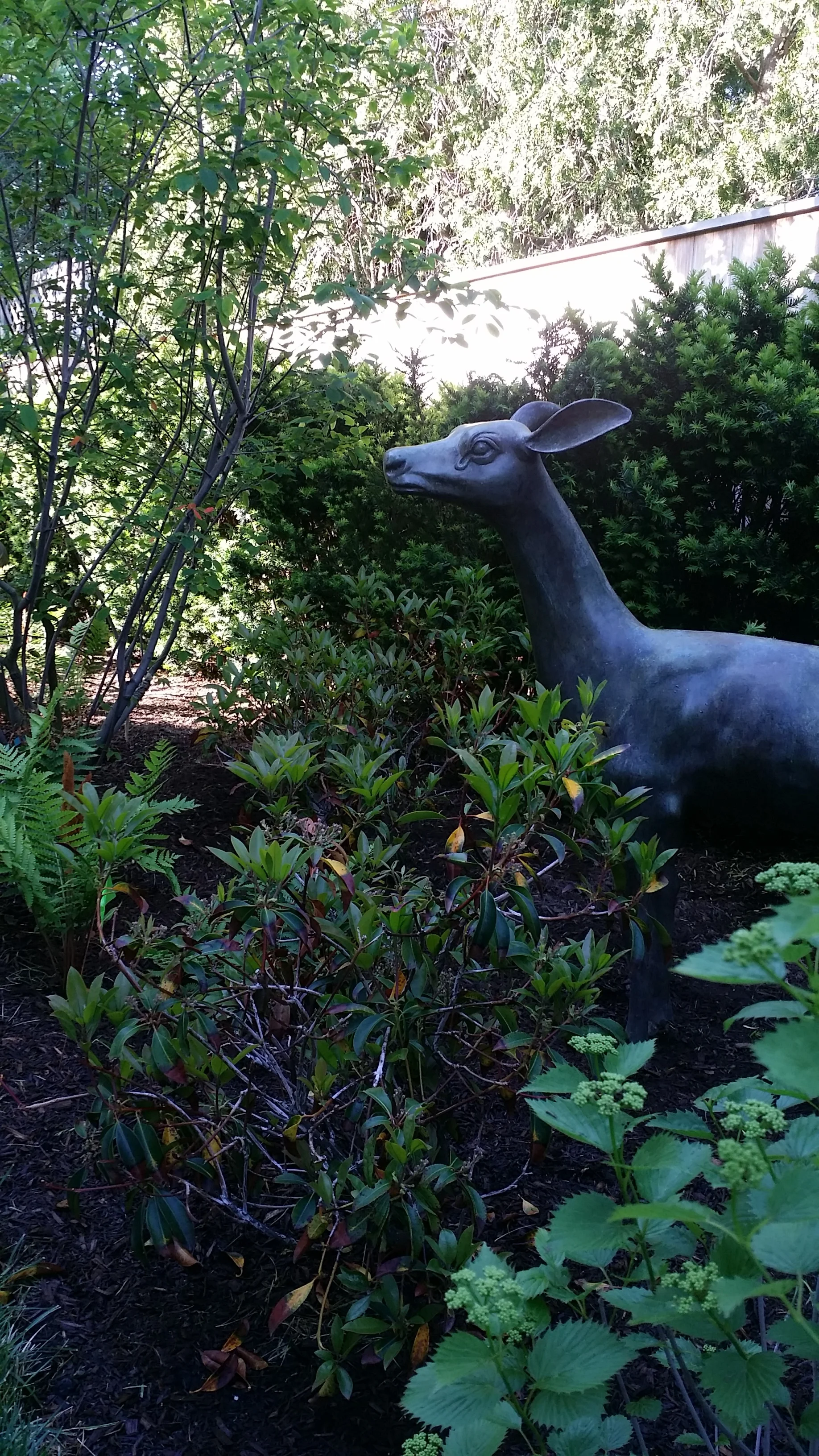 20160531_175637.jpg