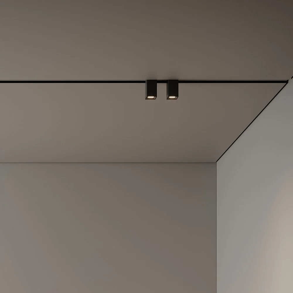 artus-in-liniar.jpg