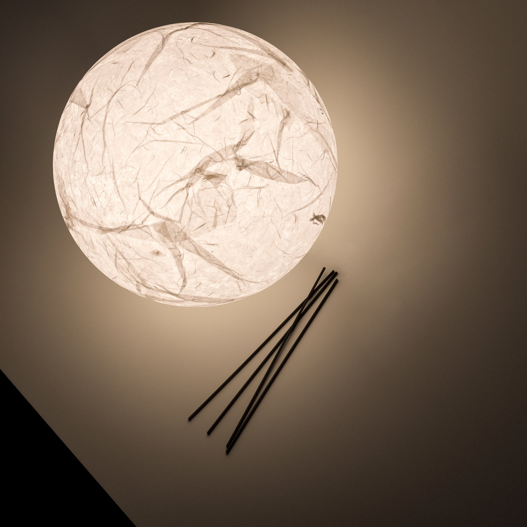 MOON_T_02.jpg