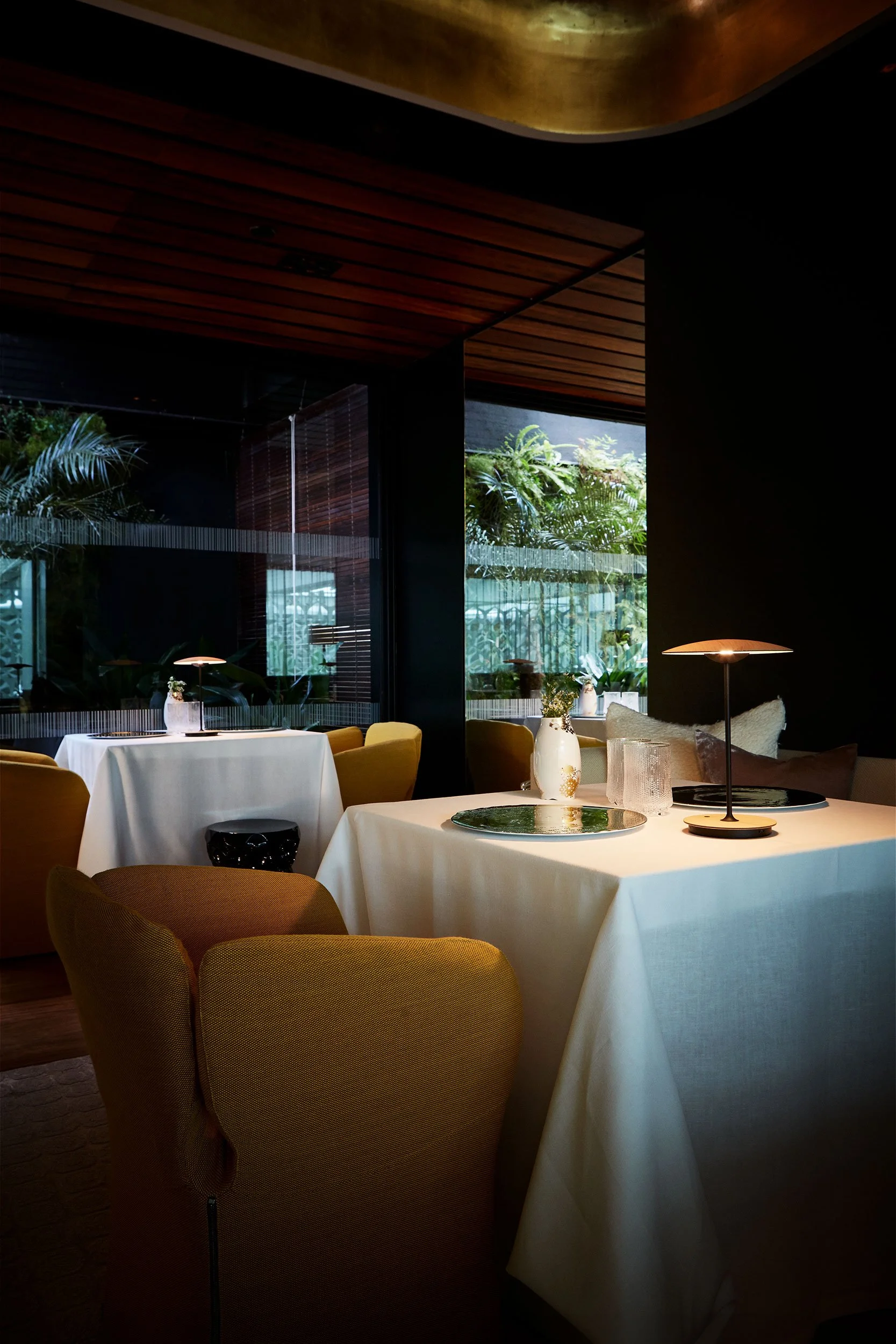 MARSET_LR_Ginger-portable-at-a-restaurant.jpg