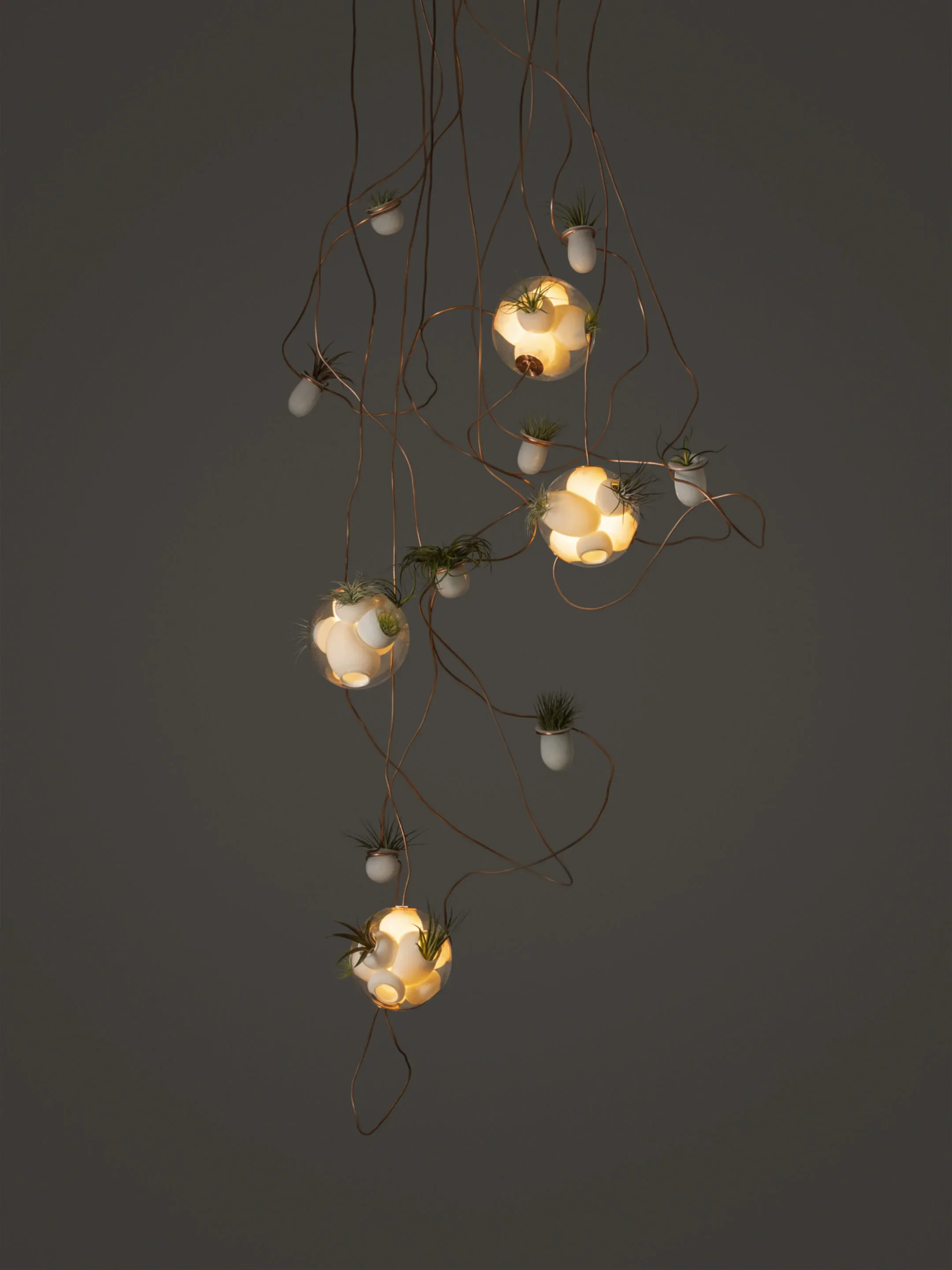 38.11-Copper-Dark.jpg.webp