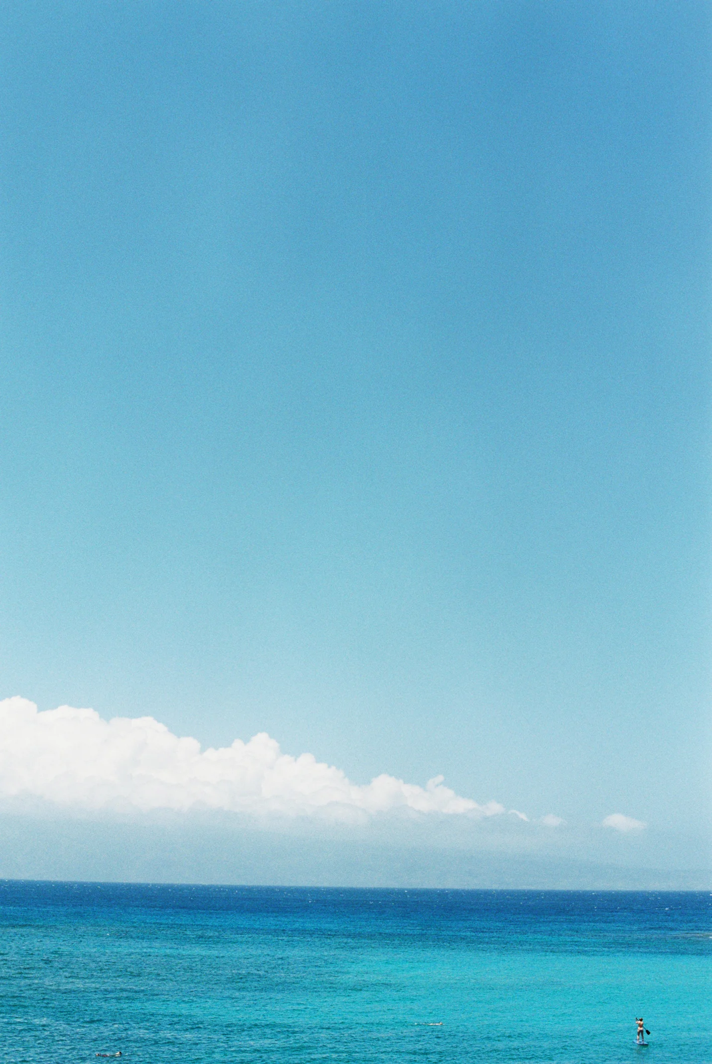 8487_24.jpg