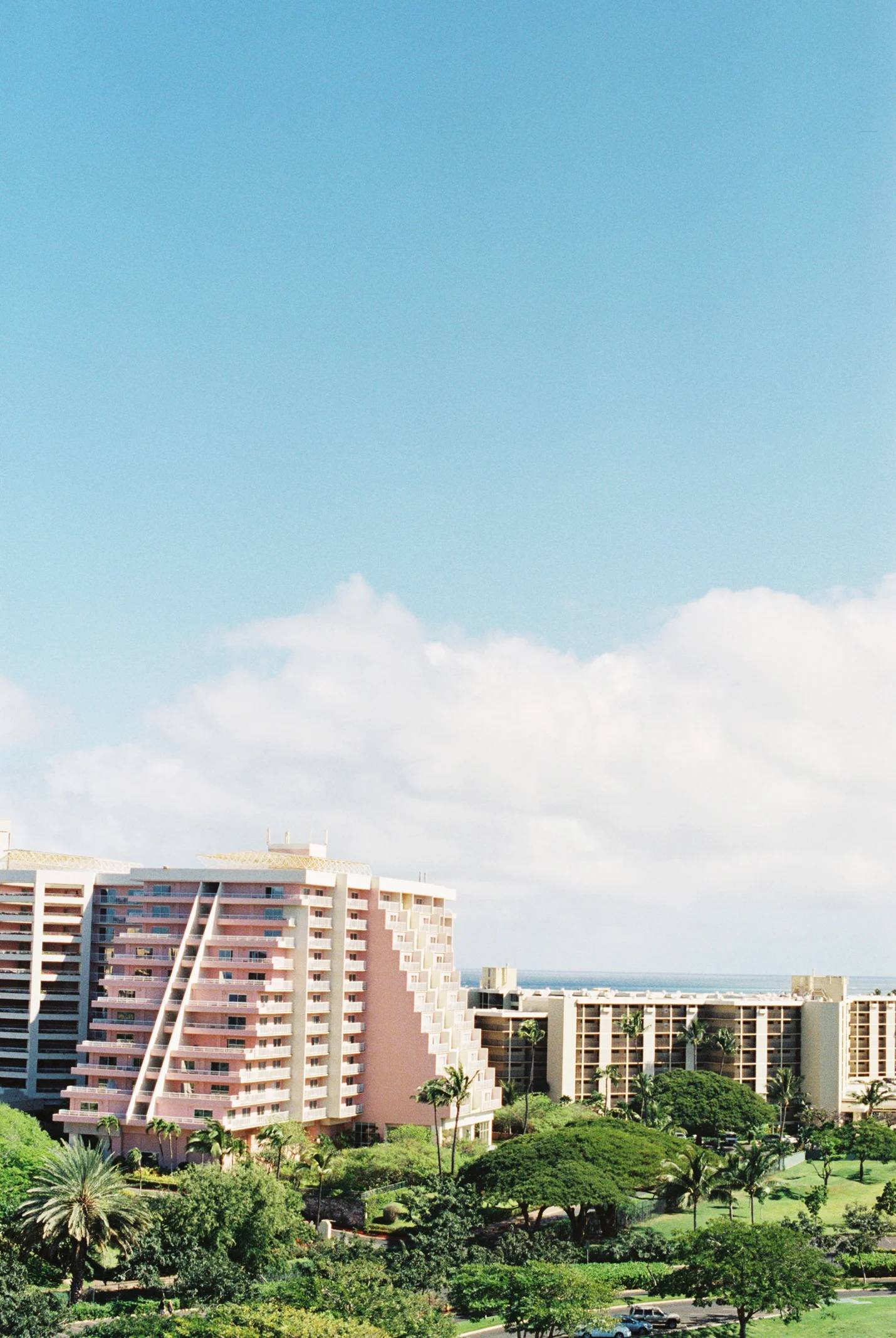8488_04.jpg