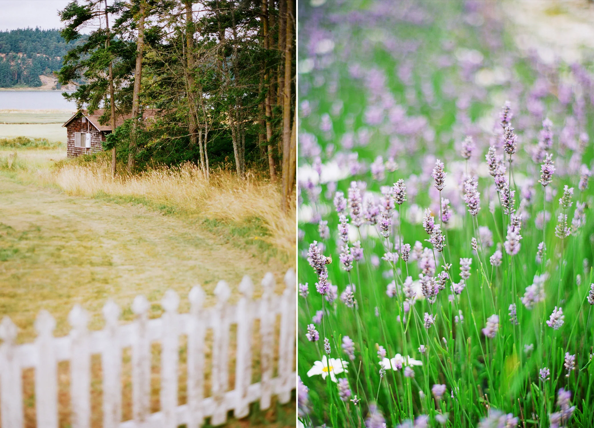 Lopez Island, Summer 2011