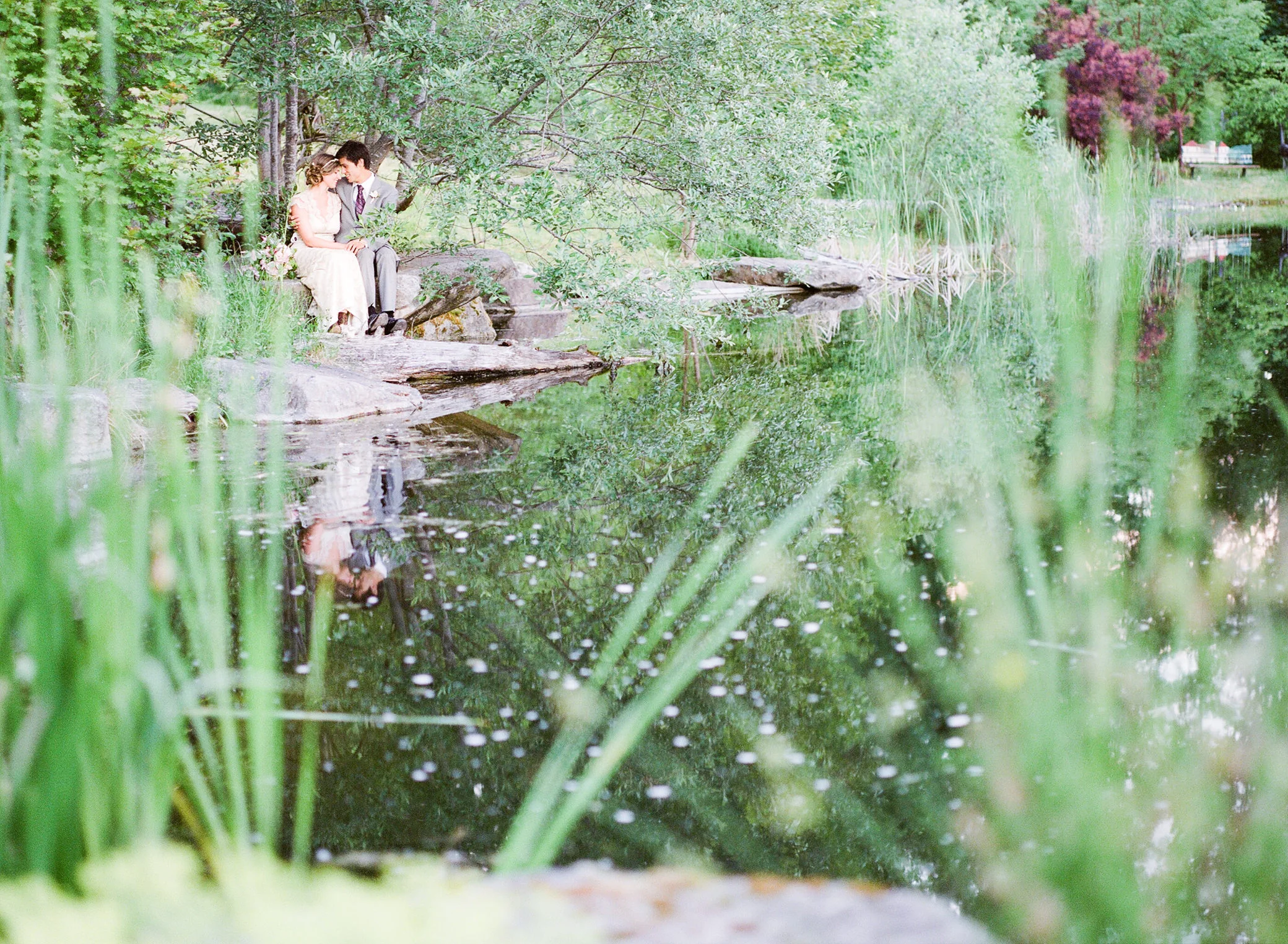 n000058660016.jpg