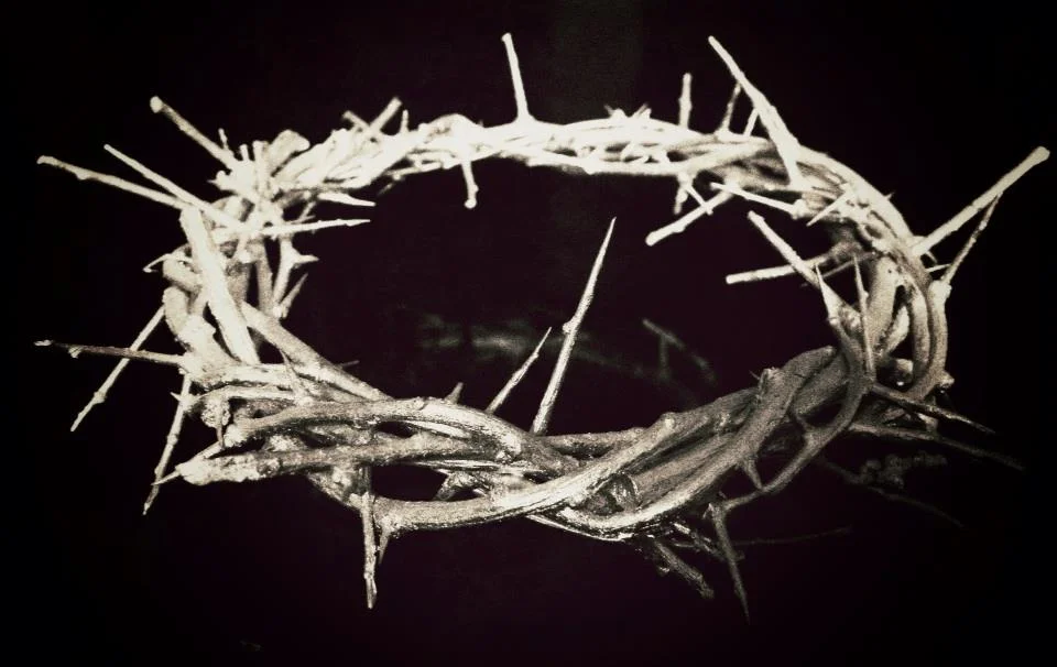 Crown of Thorns.jpg