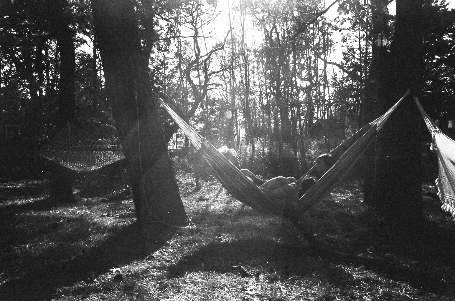 hammock.jpg