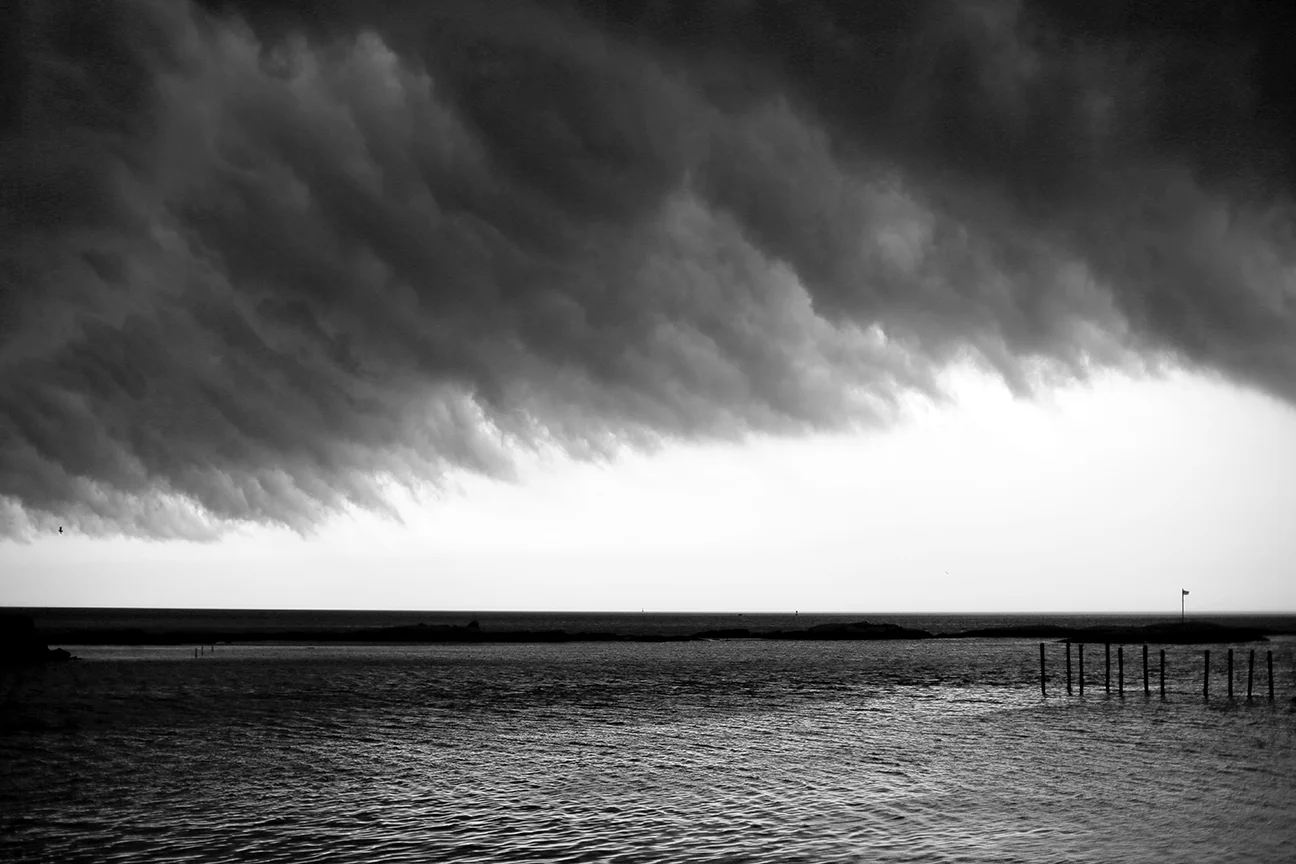 239A8717bwWeb.jpg
